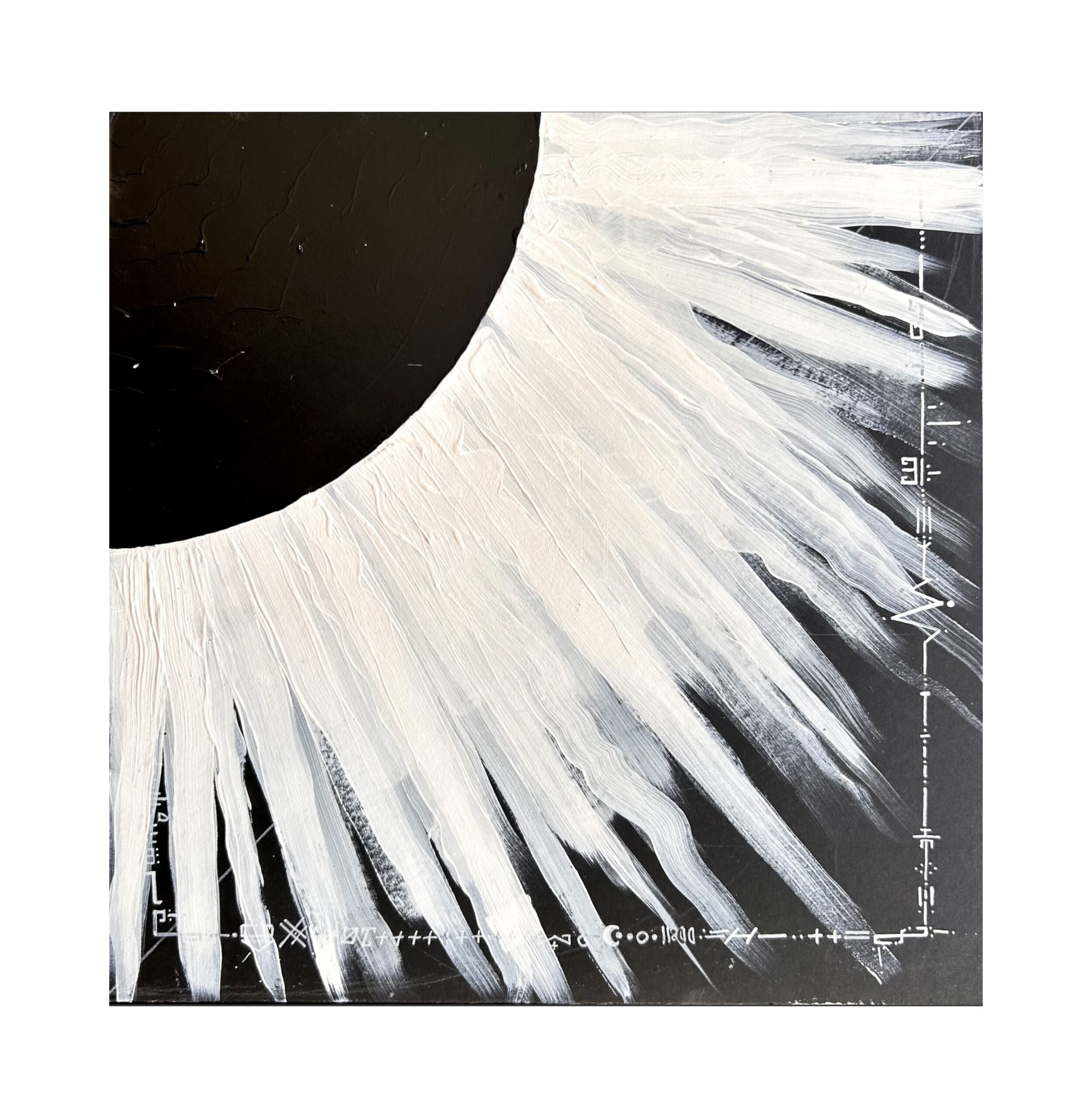 "Navigator" 4x12" White Label Vinyl Set - Image 6
